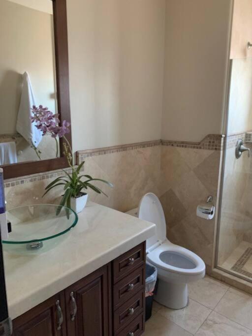 רוסריטו Access - Beach Penthouse Papas And Beer 2 Miles Wifi מראה חיצוני תמונה